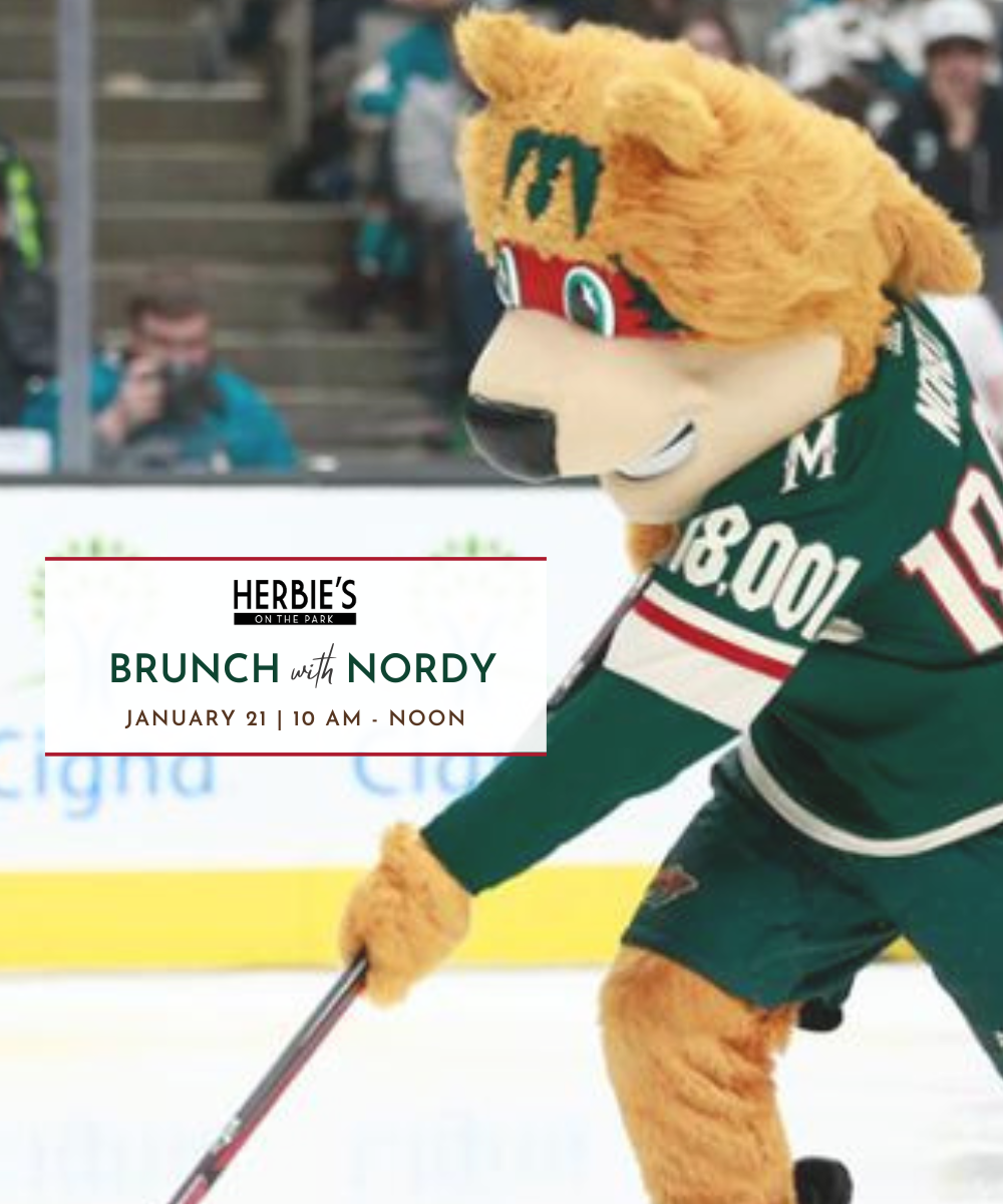 Meet Minnesota Wild mascot, Nordy!
